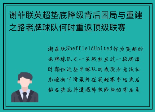 谢菲联英超垫底降级背后困局与重建之路老牌球队何时重返顶级联赛 谢菲联英超垫底降级背后困局与重建之路老牌球队何时重返顶级联赛