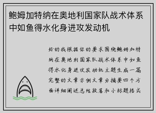 鲍姆加特纳在奥地利国家队战术体系中如鱼得水化身进攻发动机 鲍姆加特纳在奥地利国家队战术体系中如鱼得水化身进攻发动机
